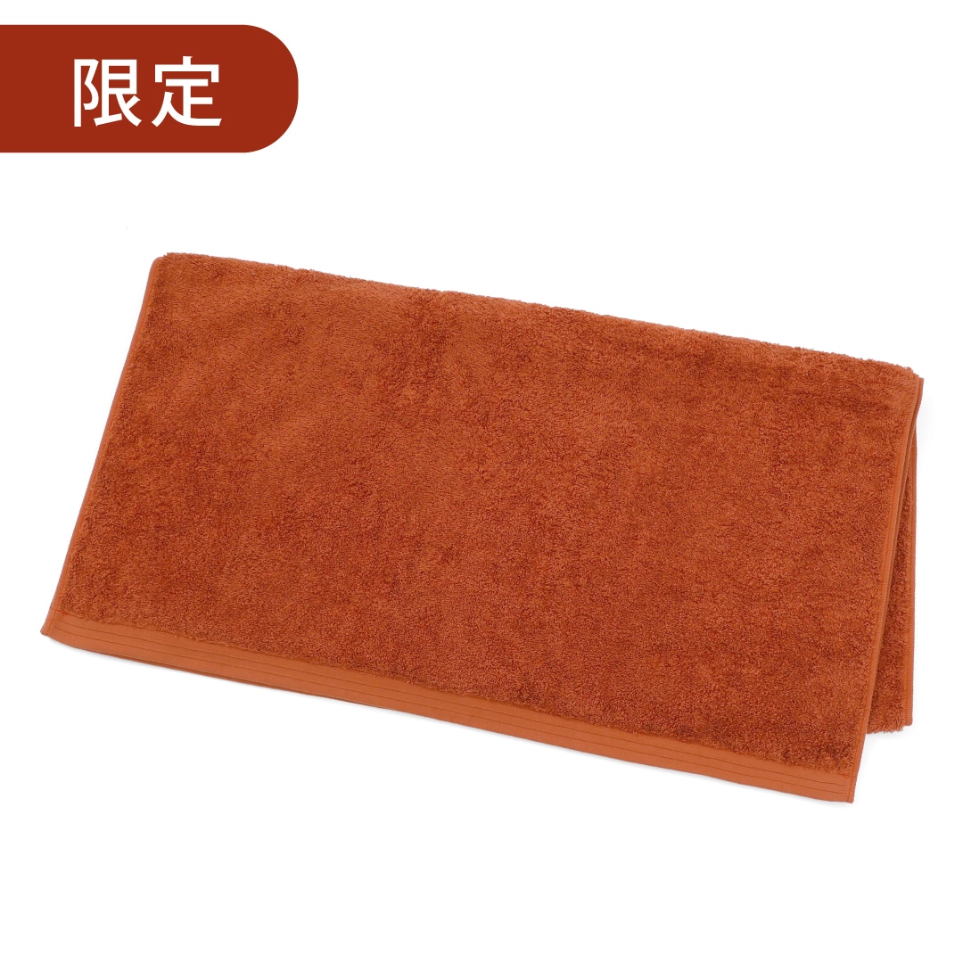 【限定】テラコッタ