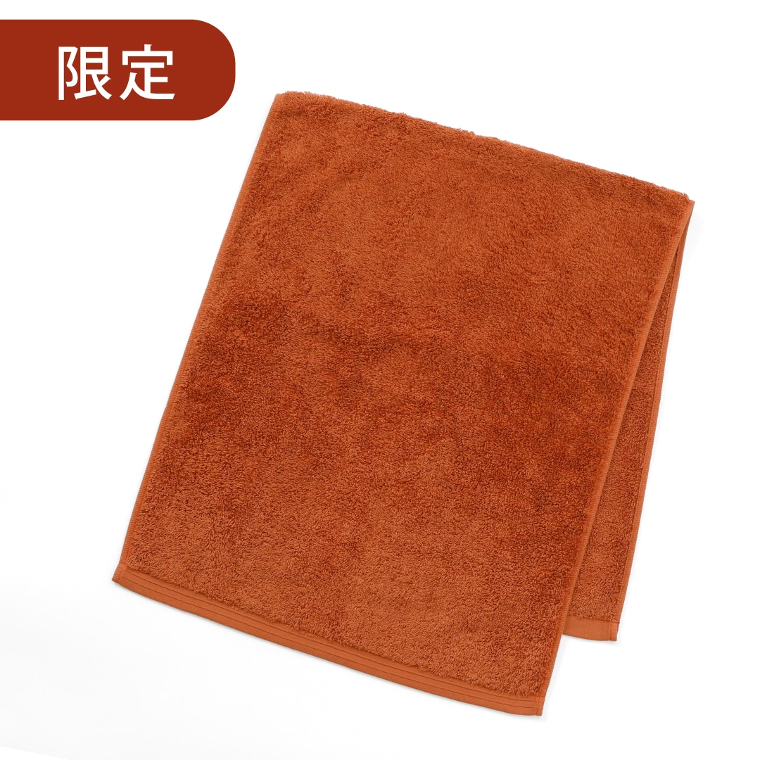 【限定】テラコッタ