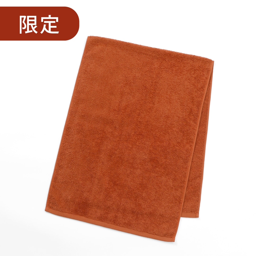 【限定】テラコッタ