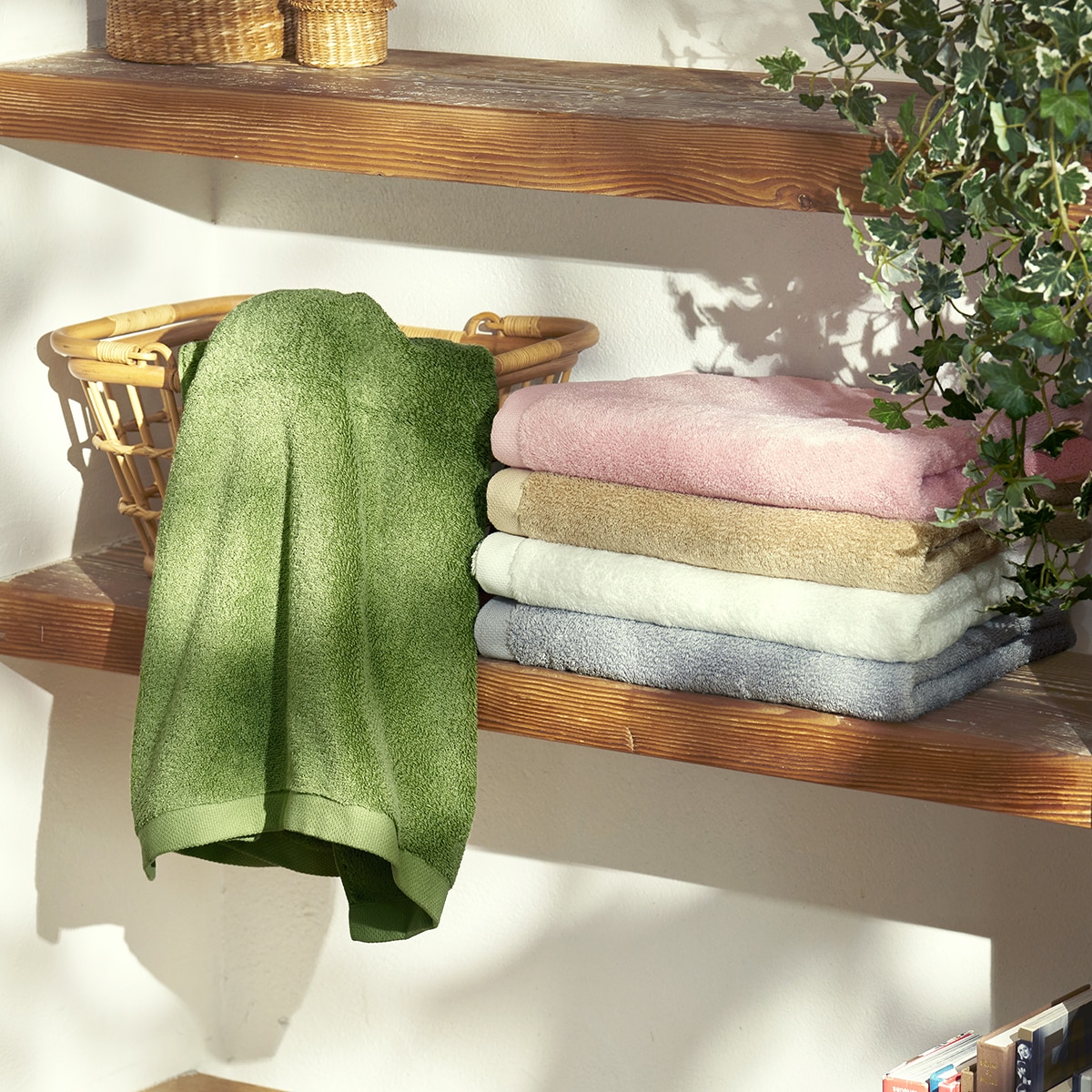 ホットマンカラーソフト