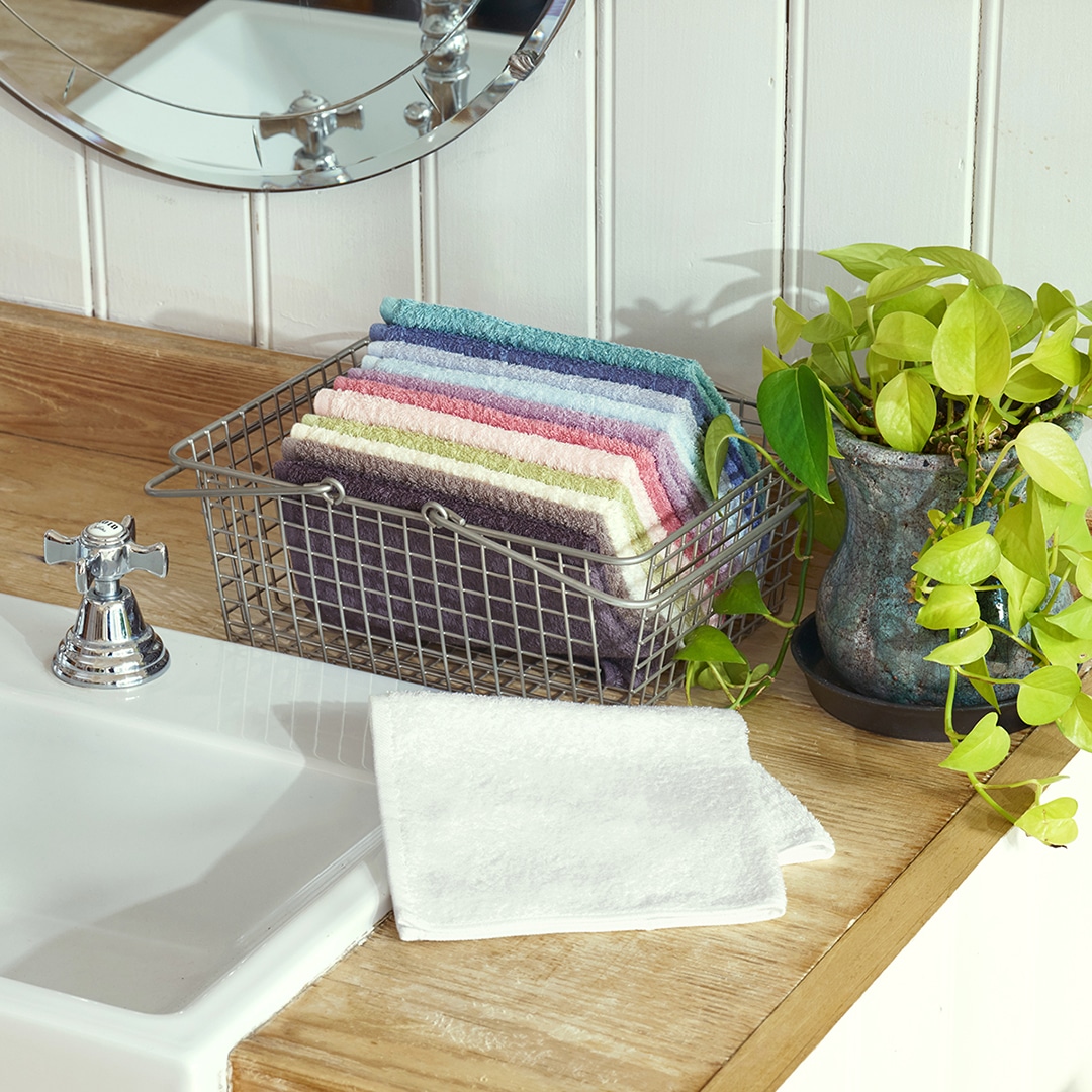 ホットマンカラー12